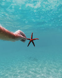 Low angle view of person paragliding in sea