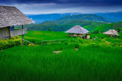 Pa-pong-peang rice terrace and homestay in maechaem, chiangmai, thailand