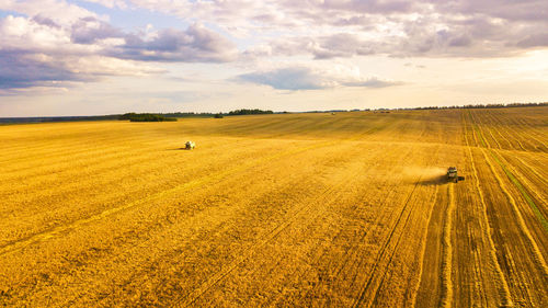 Scenic view of agricultural field against sky. summer harvest