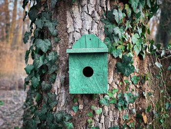 Wooden birdhouse in the forest