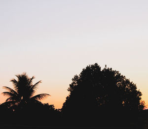 Low angle view of silhouette palm trees against clear sky