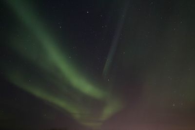 Low angle view of northern lights at night