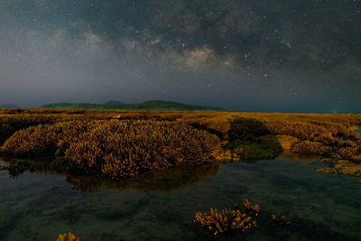 Beautiful milky way in night sky seascape, amazing coral reef at sunrise light 