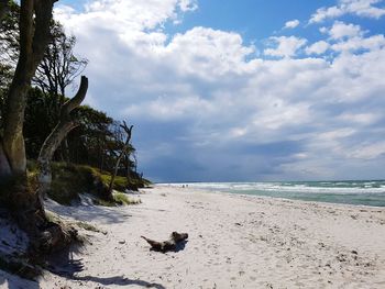 Scenic view of beach against sky