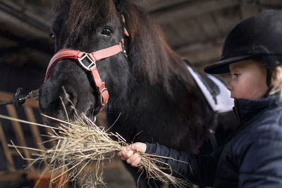 Girl feeding pony in stable