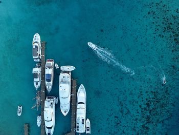 High angle view of seagulls by sea