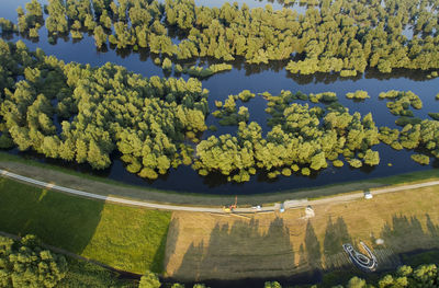 High angle view of trees on landscape