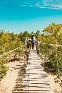 Tourists walking on the mangrove boardwalk at mida creek in watamu during low tide, malindi in kenya