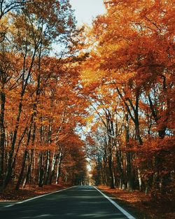 Road passing through autumn trees