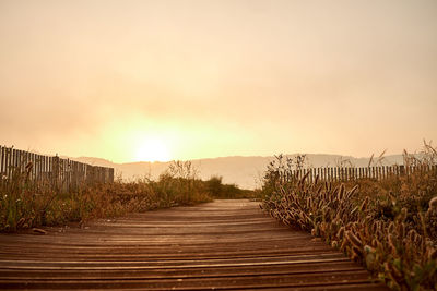 Empty footpath amidst trees against sky during sunset