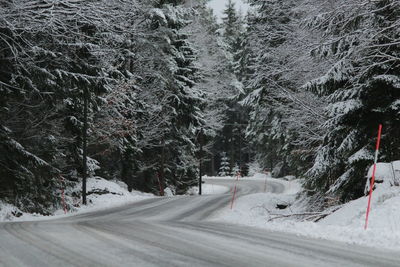 Snow covered road amidst trees in forest