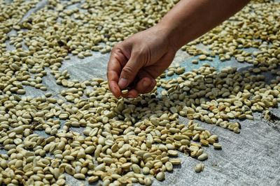 Midsection of person preparing food