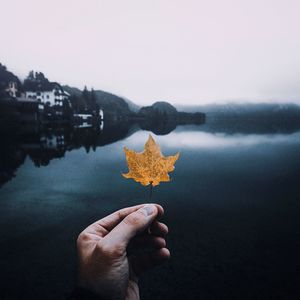 Cropped hand of person holding maple leaf against lake