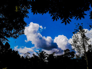 Low angle view of silhouette trees against blue sky