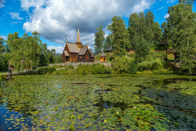 Plants by lake and building against sky
