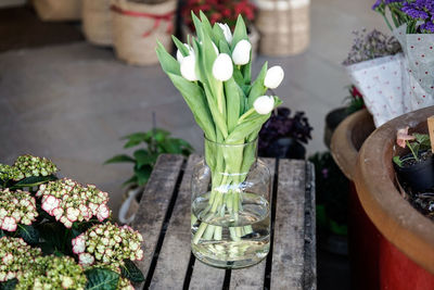 High angle view of potted plant on table