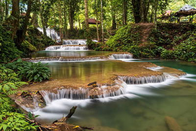 Scenic view of waterfall in forest