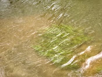 Full frame shot of rippled water