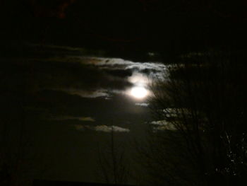 Scenic view of moon in sky at night