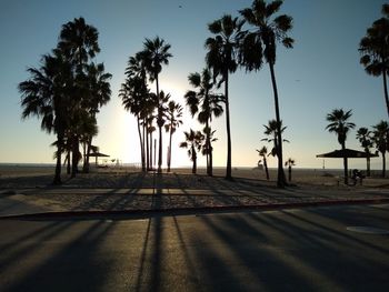 Silhouette palm trees on beach against sky at sunset