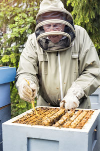 Beekeeper examining honeycomb