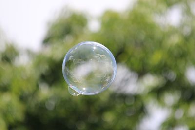 Close-up of bubbles