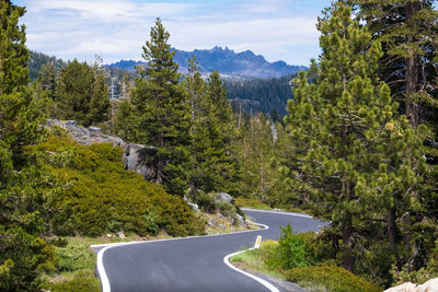 Road by trees against sky