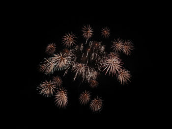 Low angle view of firework display at night