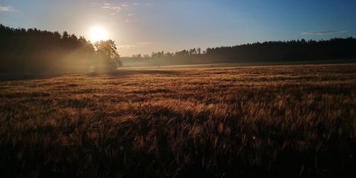 Scenic view of field against sky during sunset