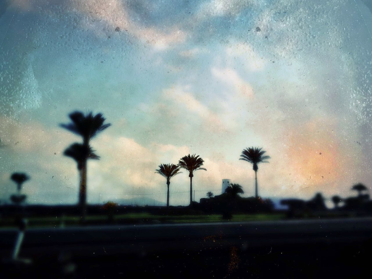 SILHOUETTE TREES AGAINST SKY DURING SUNSET