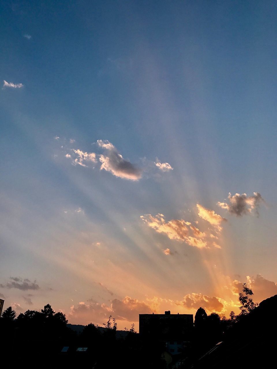 SILHOUETTE OF TREES AGAINST SKY DURING SUNSET