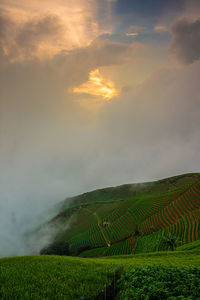 Scenic view of agricultural field against sky during sunset