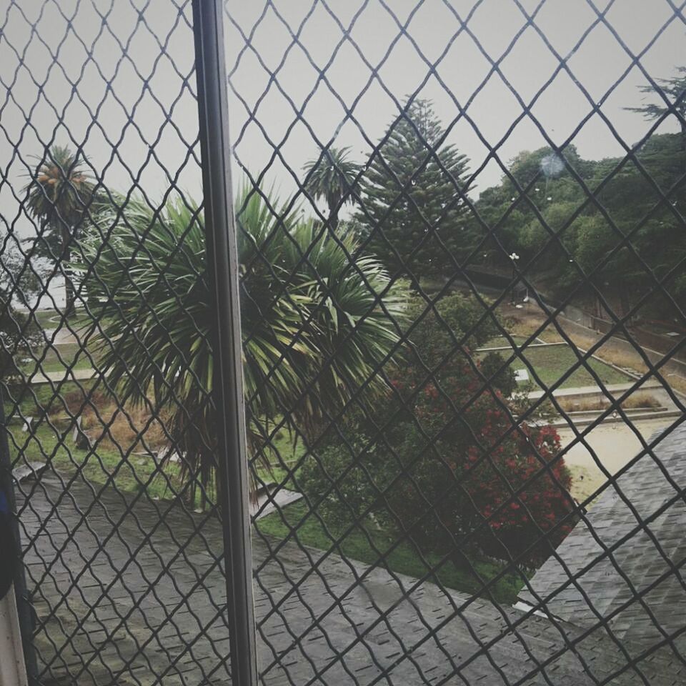 fence, chainlink fence, protection, safety, security, metal, close-up, focus on foreground, full frame, backgrounds, sky, chainlink, day, calm, outdoors, chain link fence, boundary, crisscross