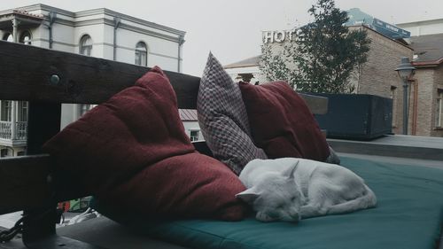 sleeping