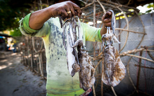 Midsection of man holding squid