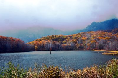 Scenic view of lake by trees against sky