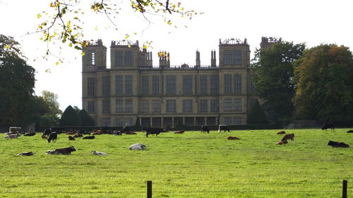 Built structure and trees