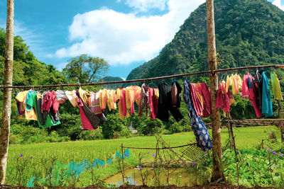 Clothes drying on clothesline against sky