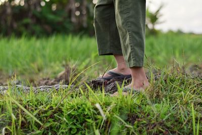 Low section of man standing on field