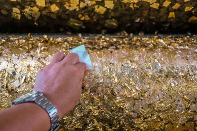 Close-up of person holding hand