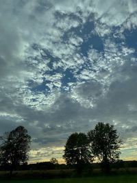 Silhouette trees on field against sky