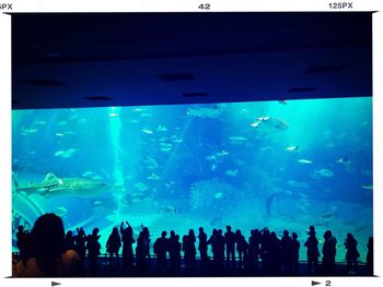 Group of people in nightclub