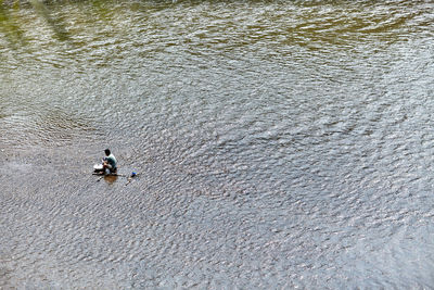 High angle view of men fishing in sea