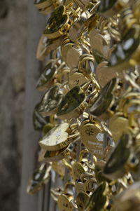 Close-up of padlocks on metal chain