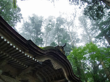 Low angle view of trees and building against sky