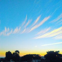 Low angle view of silhouette trees against sky at sunset