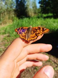 Close-up of butterfly perching on hand holding flower