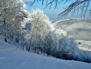 Snow covered landscape