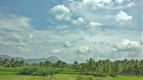 Scenic view of land against sky