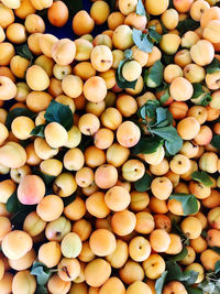 Full frame shot of fruits for sale at market